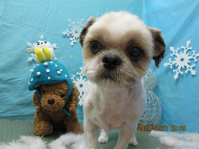 ファイル 6698-2.jpg