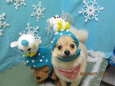 ファイル 6699-2.jpg