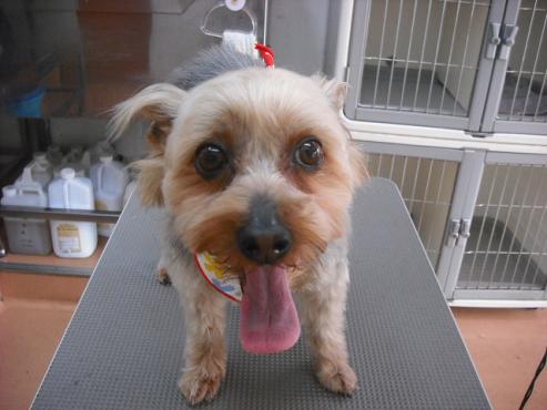 ファイル 67-1.jpg