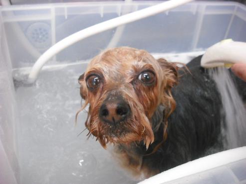 ファイル 67-2.jpg