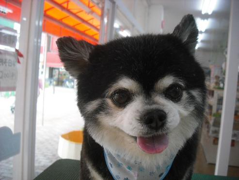 ファイル 670-1.jpg