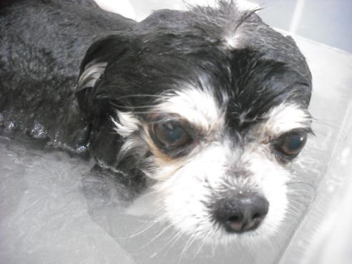 ファイル 670-2.jpg