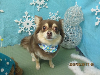 ファイル 6700-1.jpg