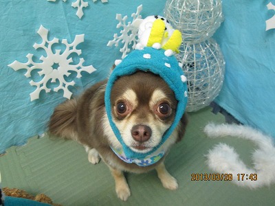 ファイル 6700-2.jpg