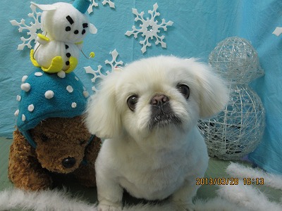 ファイル 6701-1.jpg