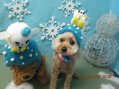 ファイル 6702-2.jpg