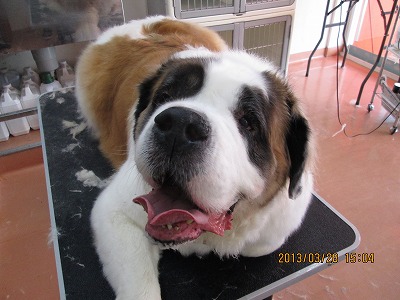 ファイル 6703-1.jpg