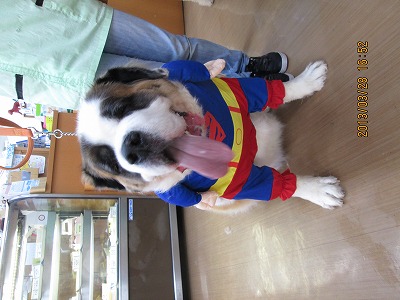 ファイル 6703-2.jpg