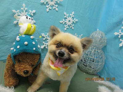 ファイル 6704-1.jpg