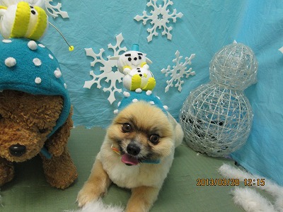 ファイル 6704-2.jpg