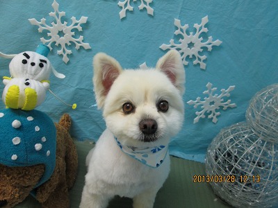 ファイル 6705-1.jpg