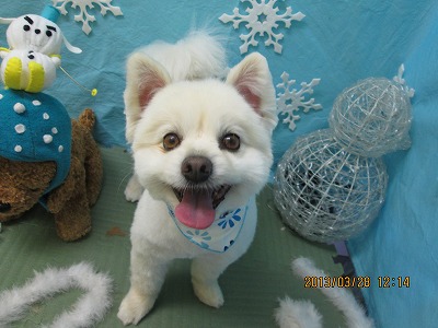 ファイル 6705-2.jpg