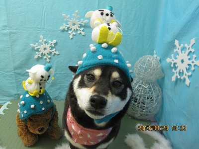 ファイル 6706-2.jpg