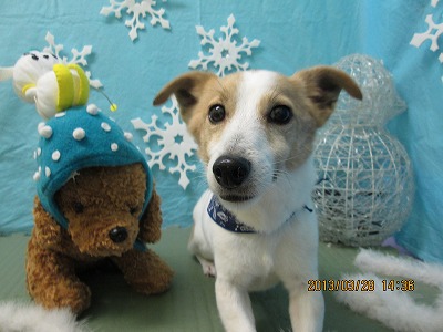 ファイル 6707-1.jpg