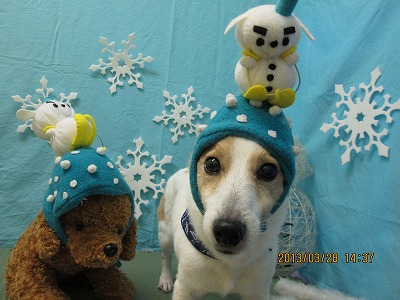 ファイル 6707-2.jpg