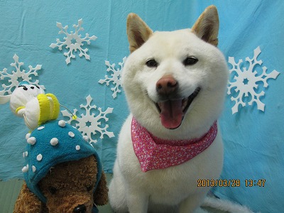 ファイル 6708-1.jpg