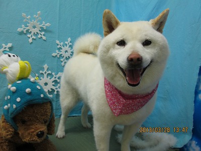 ファイル 6708-2.jpg