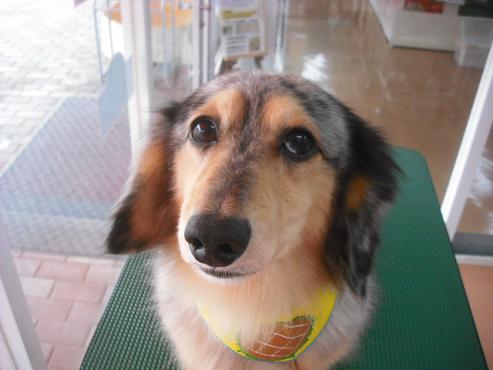 ファイル 671-1.jpg