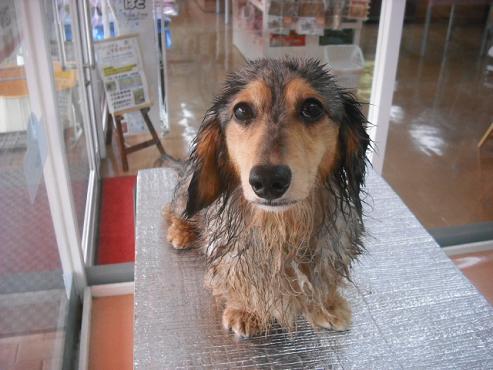 ファイル 671-2.jpg