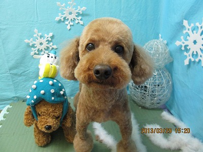 ファイル 6710-1.jpg