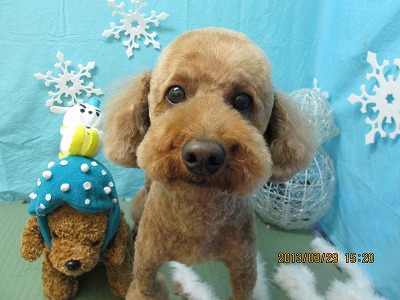 ファイル 6710-2.jpg