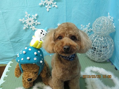 ファイル 6711-1.jpg