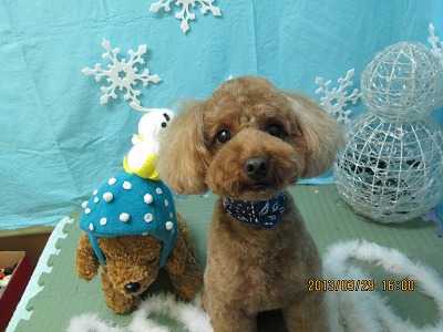 ファイル 6711-2.jpg