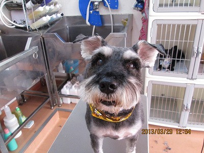 ファイル 6712-1.jpg