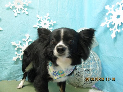 ファイル 6713-1.jpg