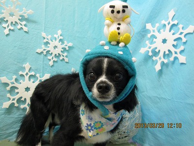 ファイル 6713-2.jpg