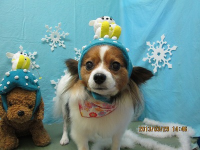 ファイル 6714-1.jpg