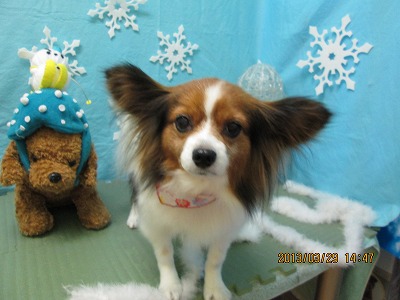 ファイル 6714-2.jpg