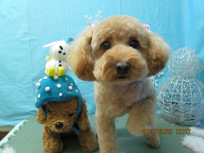 ファイル 6715-1.jpg