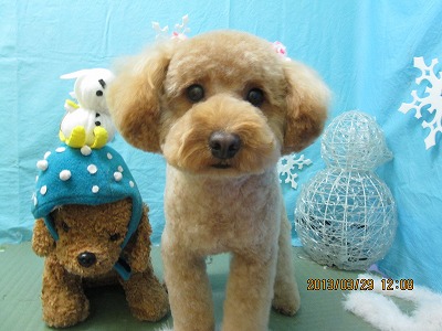 ファイル 6715-2.jpg