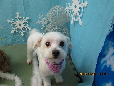 ファイル 6716-2.jpg