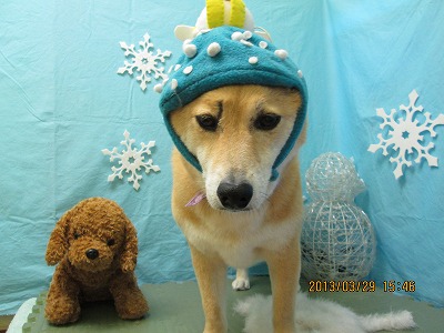 ファイル 6717-1.jpg