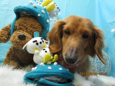 ファイル 6718-1.jpg