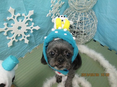 ファイル 6719-1.jpg