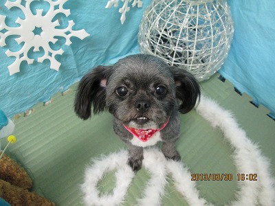 ファイル 6719-2.jpg