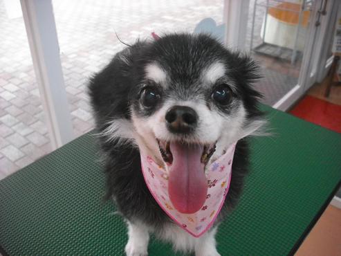 ファイル 672-1.jpg