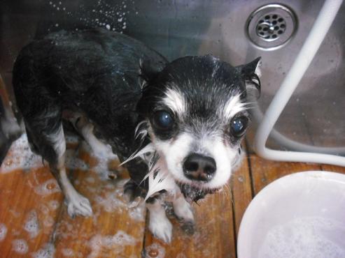 ファイル 672-2.jpg