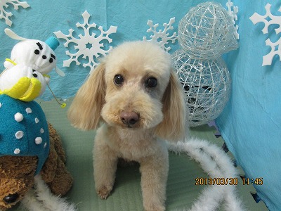 ファイル 6720-2.jpg