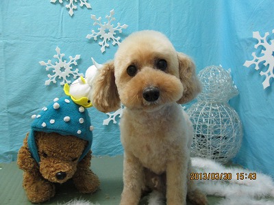 ファイル 6721-1.jpg