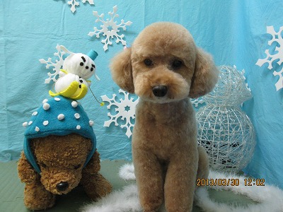 ファイル 6722-1.jpg