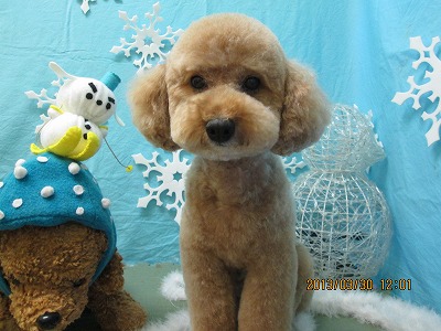 ファイル 6722-2.jpg