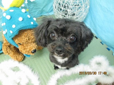 ファイル 6723-1.jpg