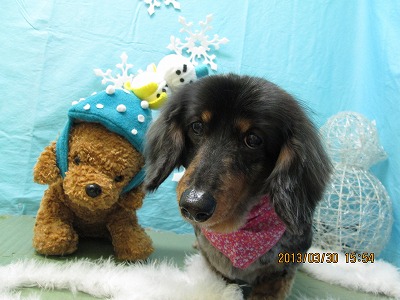 ファイル 6724-2.jpg