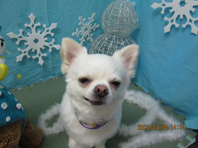 ファイル 6725-2.jpg