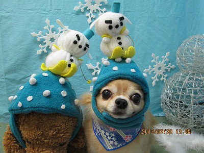 ファイル 6726-2.jpg