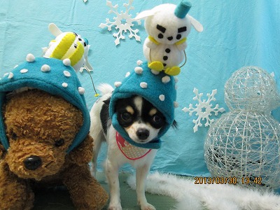 ファイル 6727-1.jpg